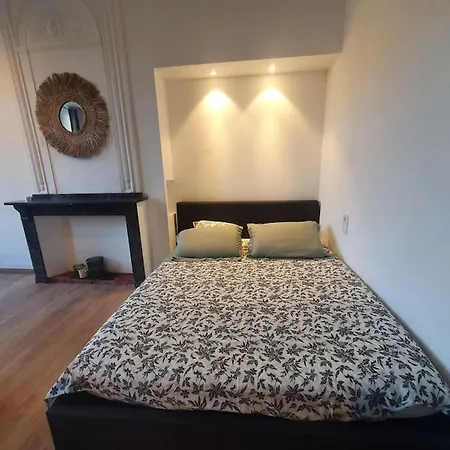 Διαμέρισμα -garrigue- Face A La Cite Medievale Terrasse Classe 4☆