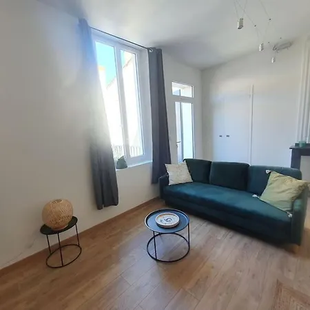 -garrigue- Face à La Cité Médiévale Terrasse Classé 4☆ * Carcassonne