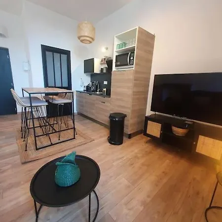 Appartamento -garrigue- Face à La Cité Médiévale Terrasse Classé 4☆ Carcassonne