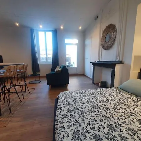 -garrigue- Face A La Cite Medievale Terrasse Classe 4☆ Apartmán Carcassonne