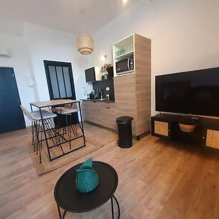 -garrigue- Face à La Cité Médiévale Terrasse Classé 4☆ * Carcassonne